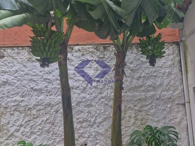 Casa para Locação em São Paulo - 5