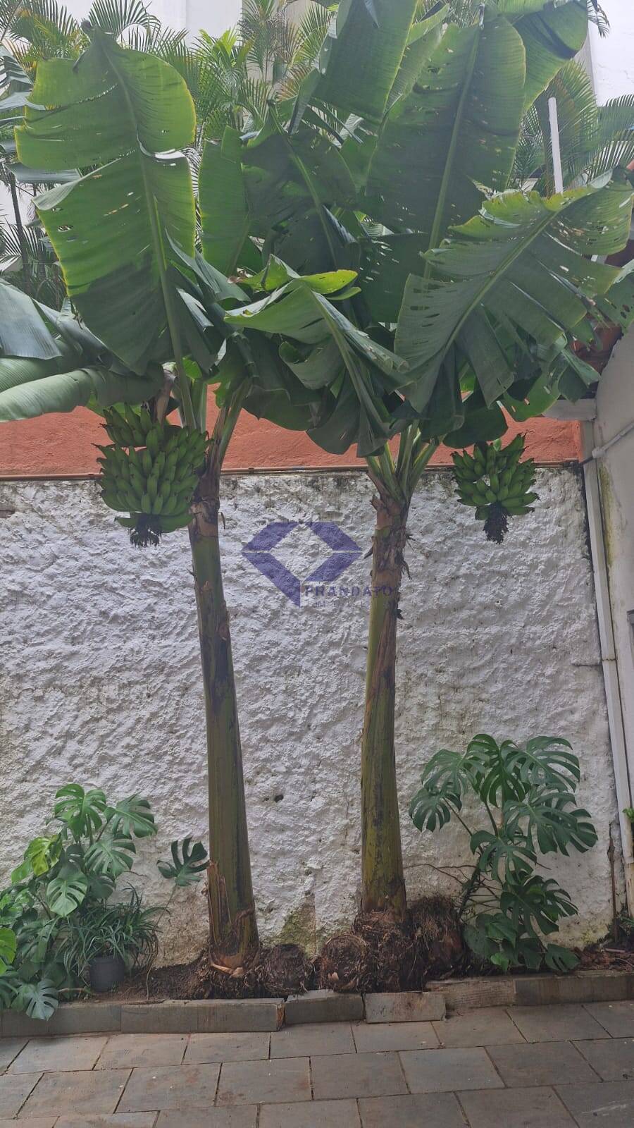 Casa, 3 quartos, 400 m² - Foto 5